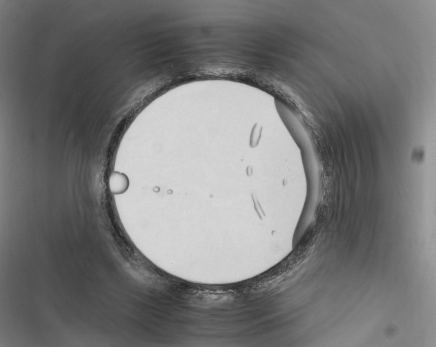 X0000116680443201001251303