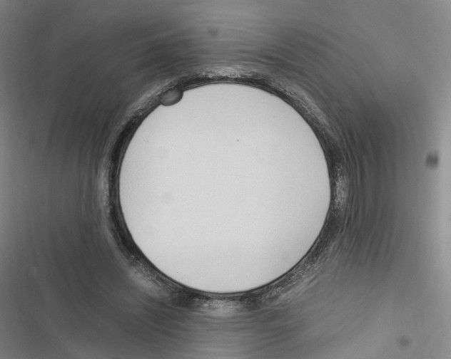 X0000116680444201001251303