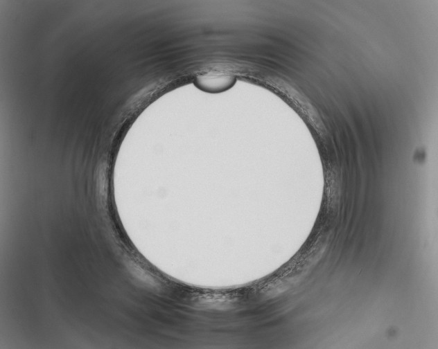 X0000116680445201001251303