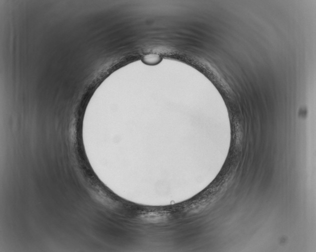 X0000116680447201001251303