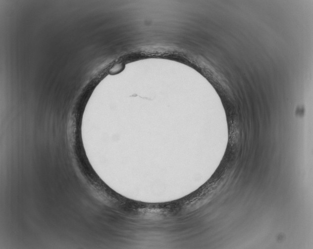 X0000116680448201001251303