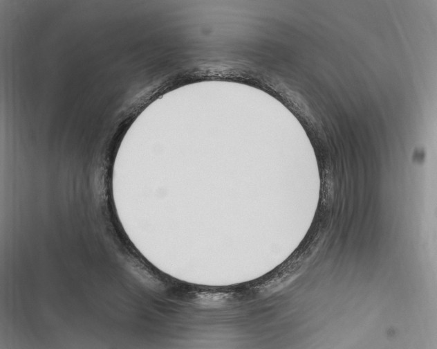 X0000116680450201001251303