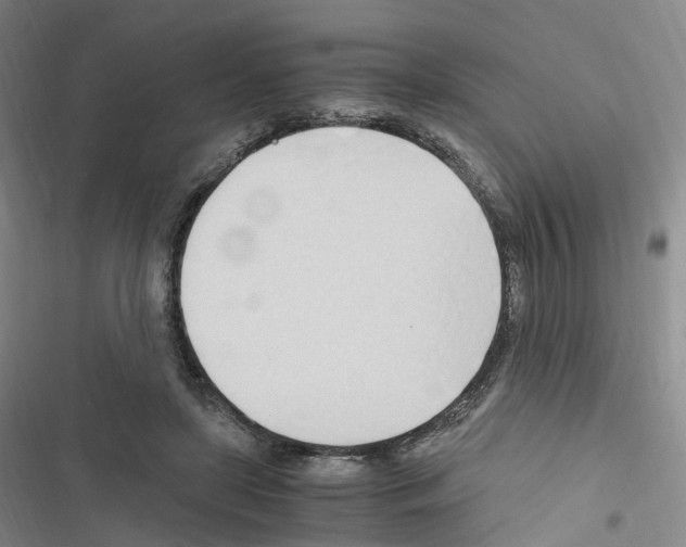 X0000116680451201001251303