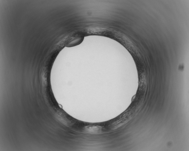 X0000116680452201001251303