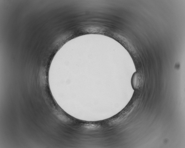 X0000116680453201001251303