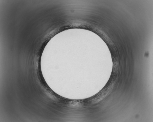 X0000116680454201001251303