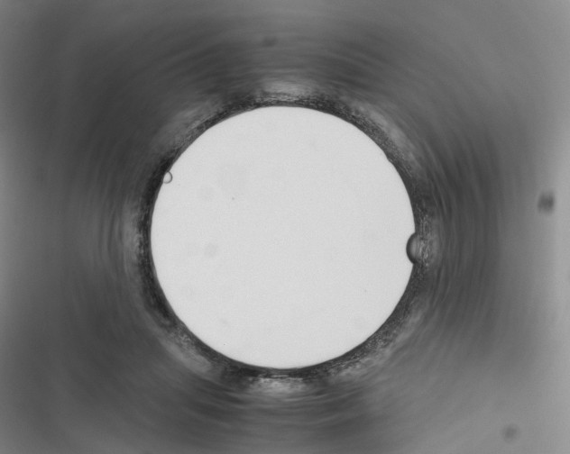 X0000116680455201001251303