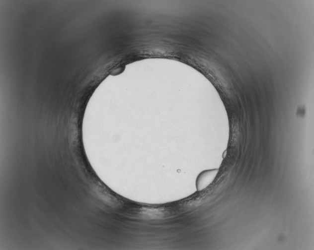 X0000116680457201001251303