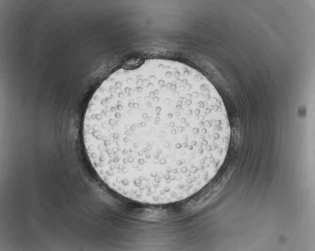 X0000116680458201001251303