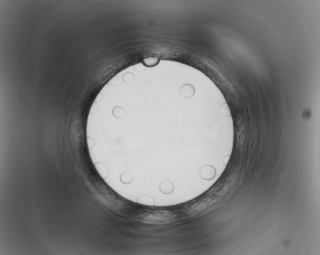 X0000116680459201001251303