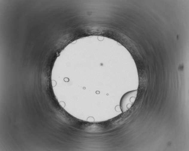 X0000116680460201001251303