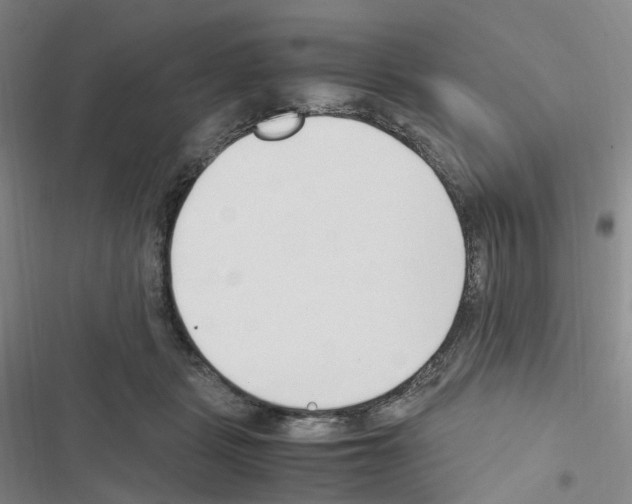 X0000116680461201001251303