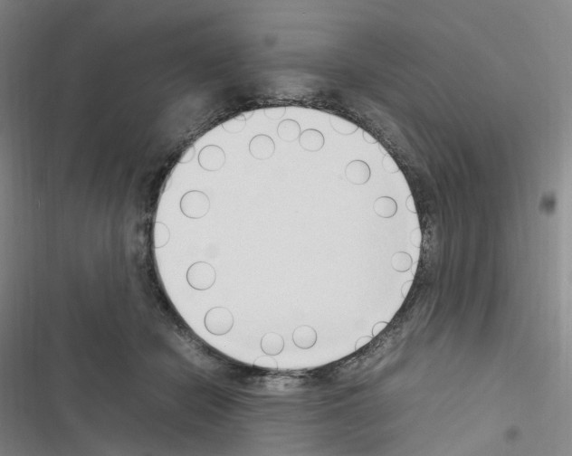 X0000116680462201001251303