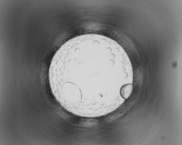 X0000116680463201001251303