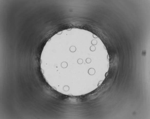 X0000116680464201001251304