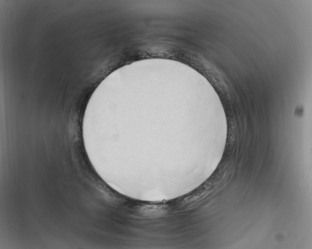 X0000116680465201001251304