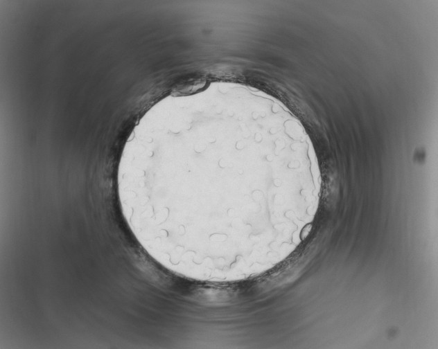 X0000116680466201001251304