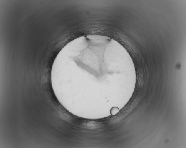 X0000116680467201001251304