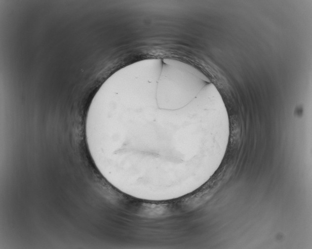 X0000116680469201001251304