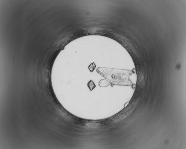 X0000116680470201001251304