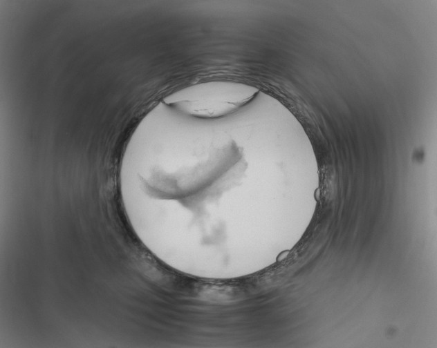 X0000116680471201001251304