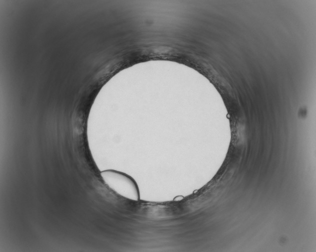 X0000116680472201001251304