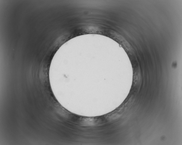 X0000116680473201001251304