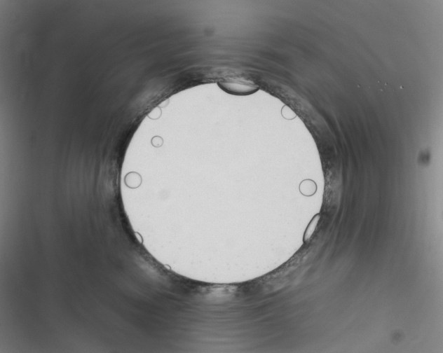 X0000116680474201001251304