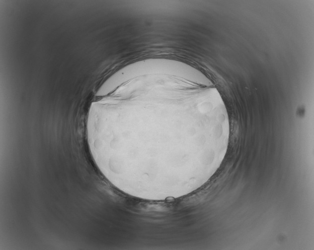 X0000116680475201001251304