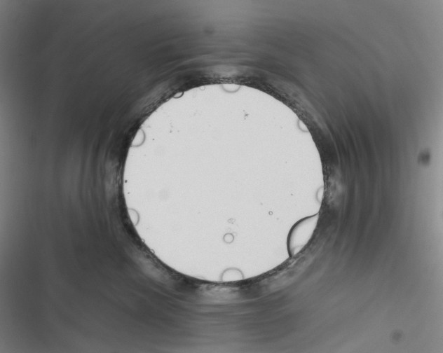 X0000116680476201001251304