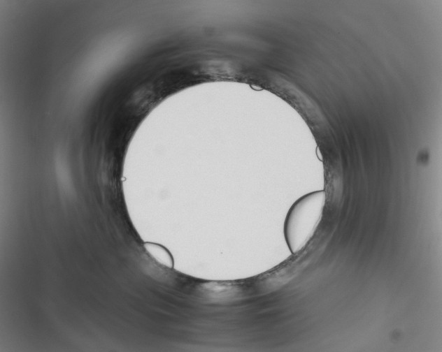 X0000116680477201001251304