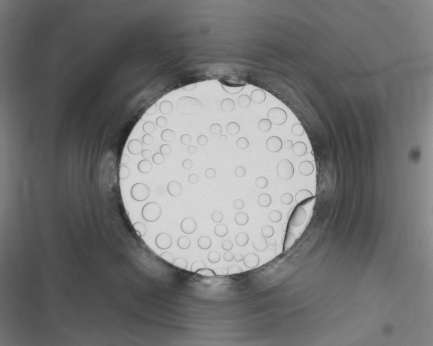 X0000116680478201001251304