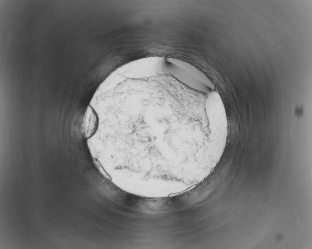 X0000116680479201001251304