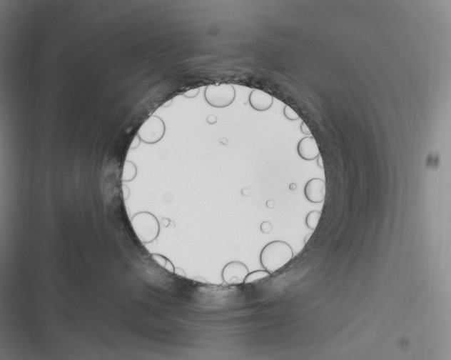 X0000116680480201001251304