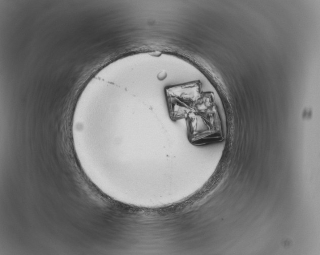 X0000116680481201001251303