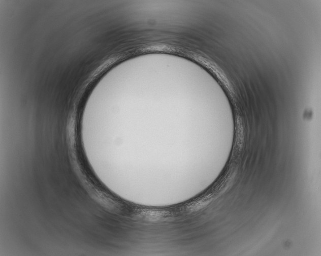 X0000116680482201001251303