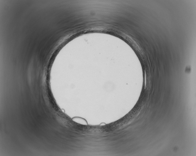 X0000116680483201001251303