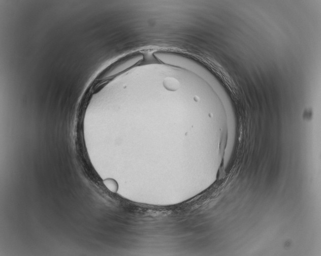 X0000116680484201001251303