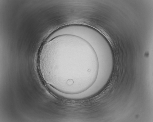 X0000116680485201001251303