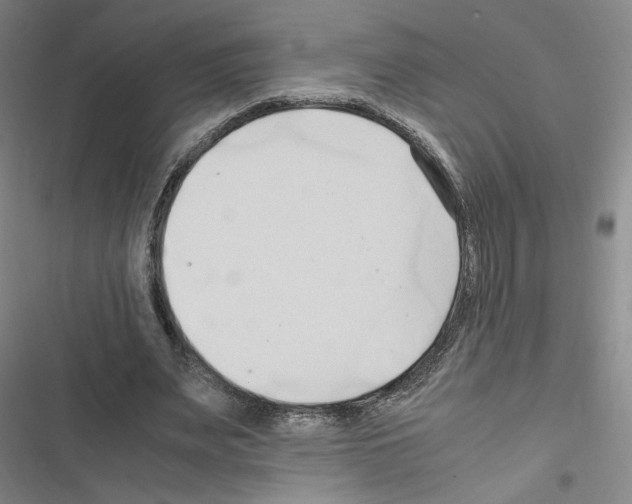 X0000116680487201001251303