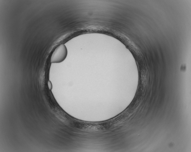 X0000116680488201001251303