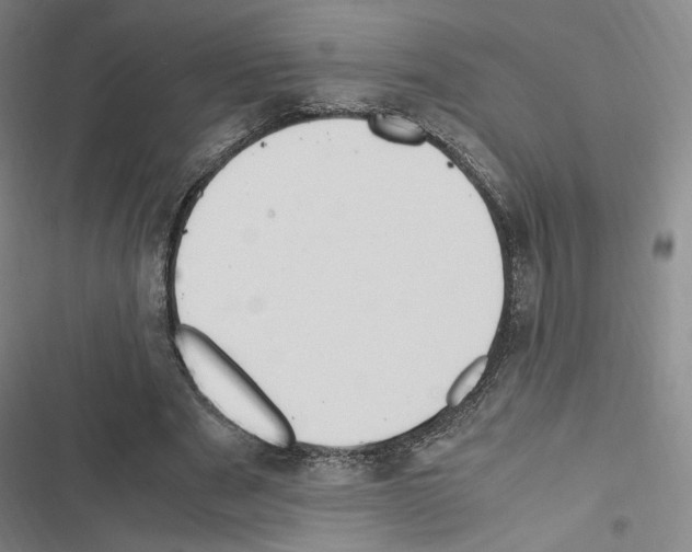 X0000116680489201001251303