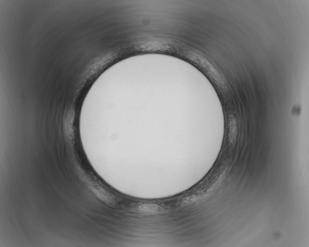 X0000116680490201001251303