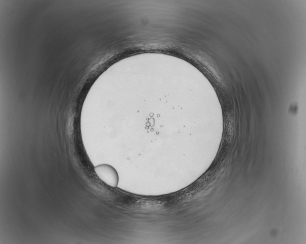 X0000116680491201001251303