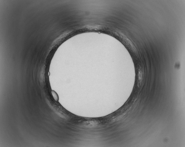 X0000116680492201001251303