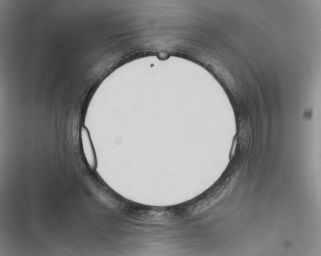 X0000116680493201001251303