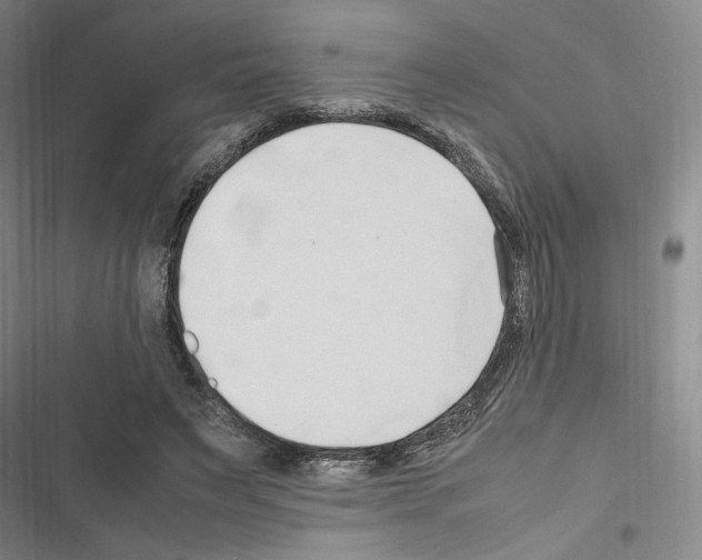 X0000116680495201001251303