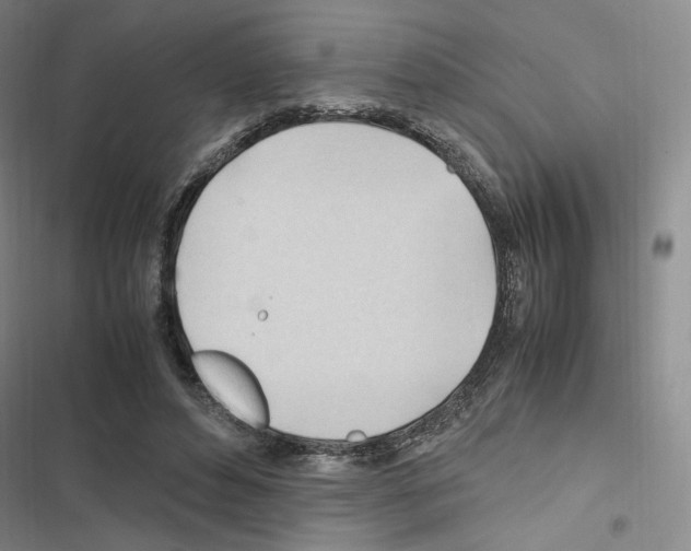 X0000116680496201001251303