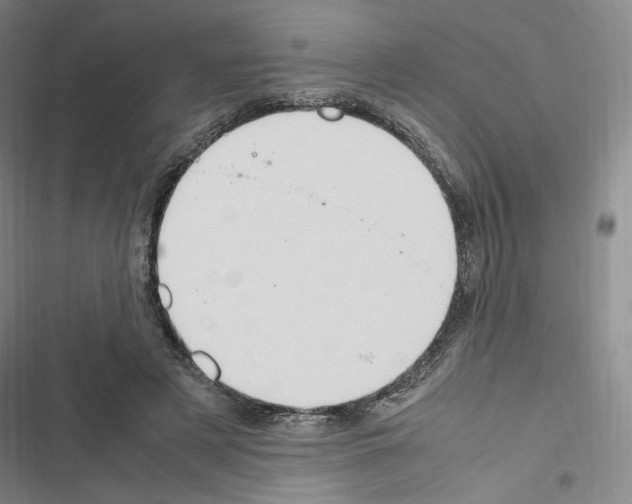 X0000116680497201001251303