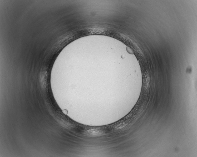 X0000116680498201001251303